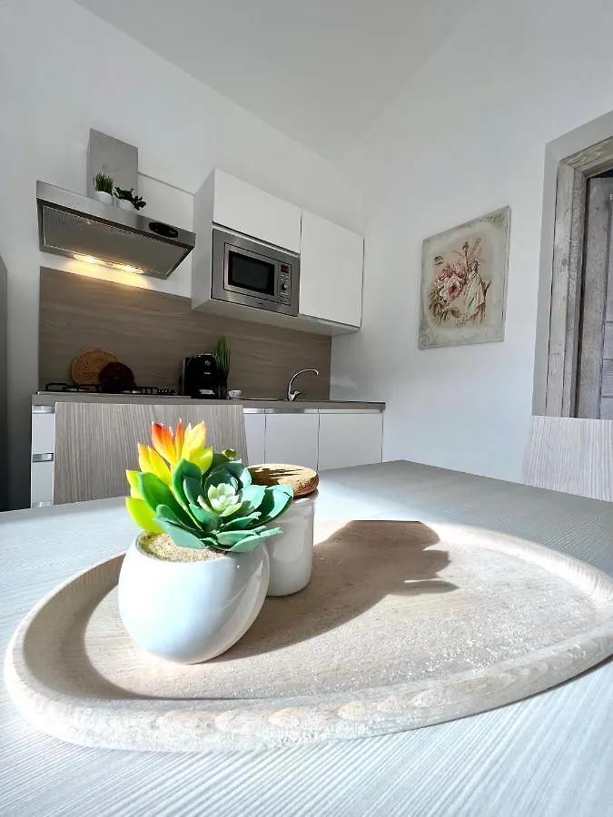 Appartamento La Conchiglia A Pochi Passi Dal Centro San Teodoro  Apartamento